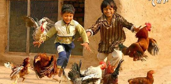 عکس شادی های کودکانه