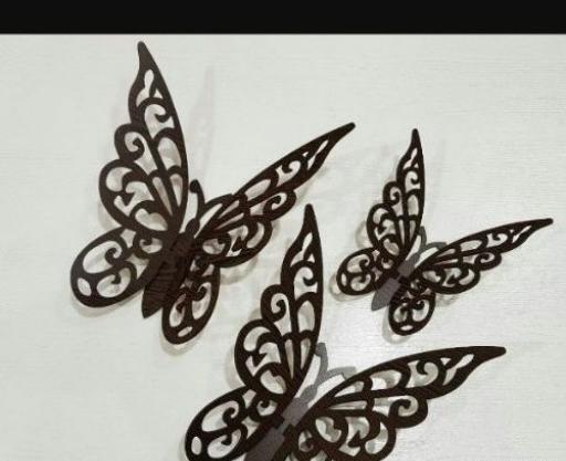 عکس پروانه چوبی