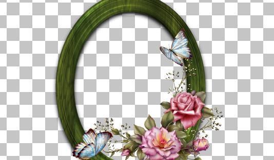 عکس پروانه چوبی