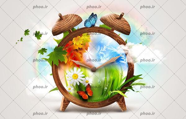 عکس پروانه چوبی