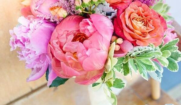 عکس گلهای زیبای تابستانی