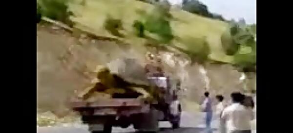 عکس لاک پشت سد کارون