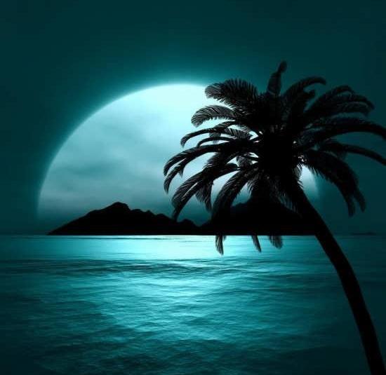 عکس جالب منظره