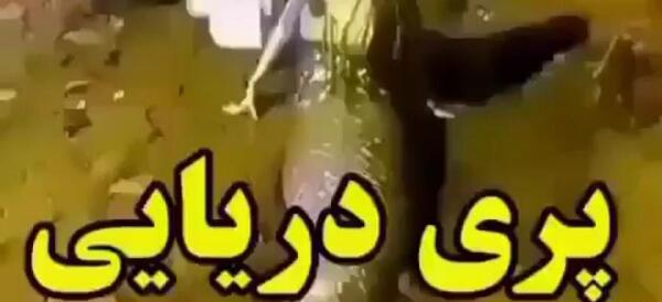 عکس مرینت پری بالدار