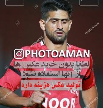 عکس امید شایان