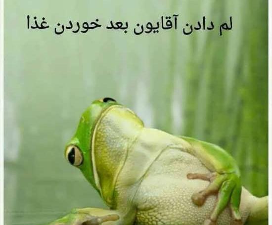 عکس نوشته طنز غذا