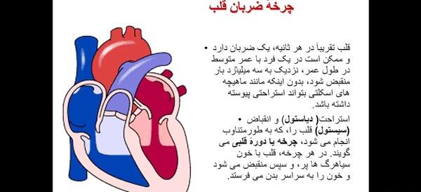 عکس چرخه ضربان قلب