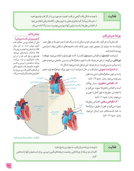 عکس چرخه ضربان قلب