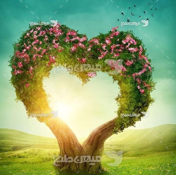 عکس طبیعت قلب