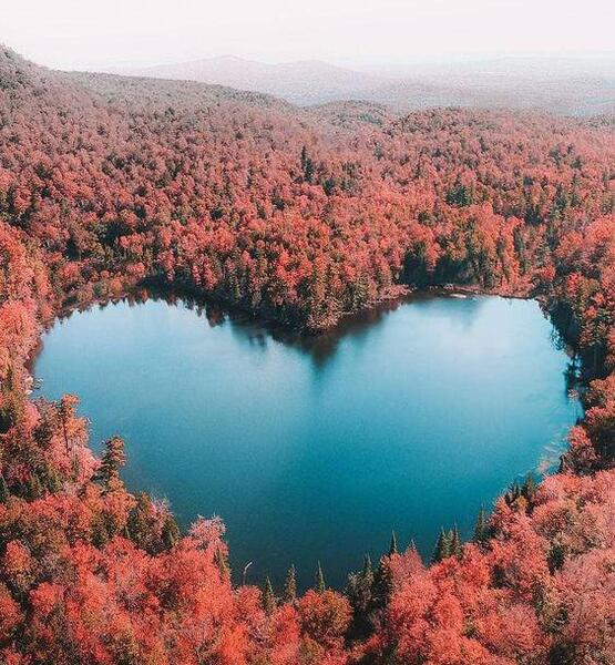 عکس طبیعت قلب