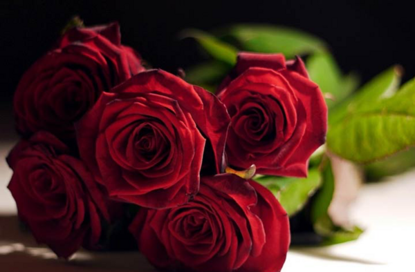 عکس گل های زیبا ی جهان