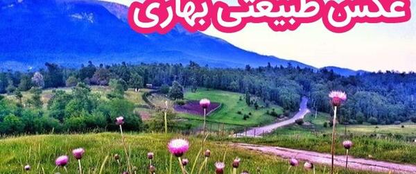 عکس بهاری شاد