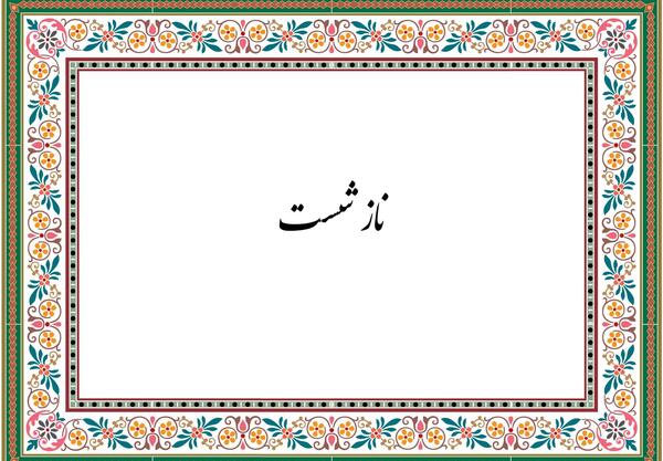 عکس ضرب المثل ناز شست