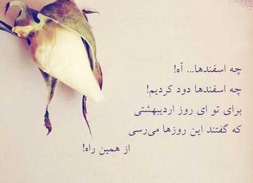عکس نوشته شعر قیصر امین پور