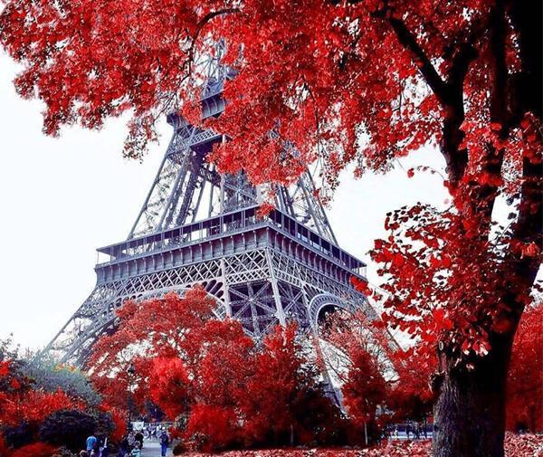 عکس ساده برای پروفایل واتساپ