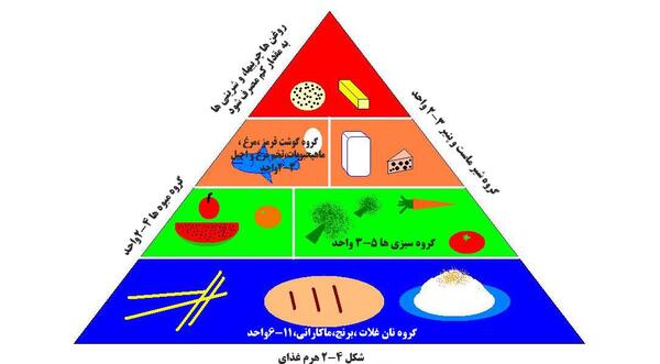 عکس ایده برای هرم غذایی