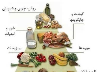 عکس ایده برای هرم غذایی
