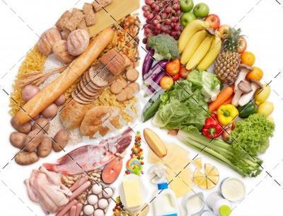 عکس ایده برای هرم غذایی
