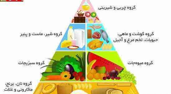 عکس ایده برای هرم غذایی