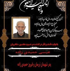 عکس شهید حمیدی زاده