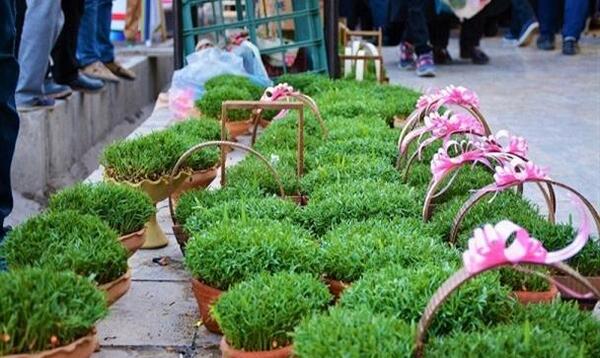 عکس سبزه شب عید