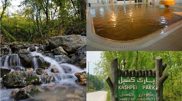 عکس فیل سنگی لاویج