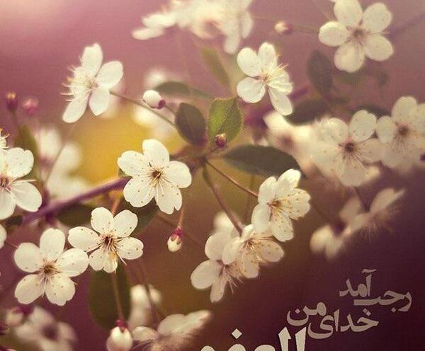 عکس نوشته زیبا حلول ماه رجب