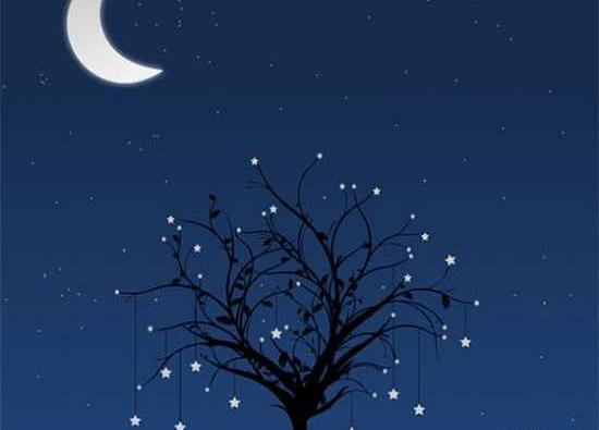 عکس شب پرستاره عاشقانه