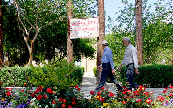 عکس بهار یزد
