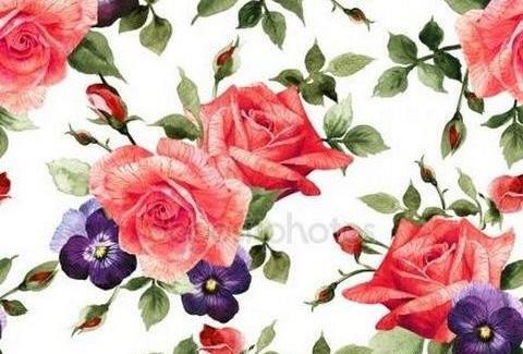 عکس صفحه سفید گل
