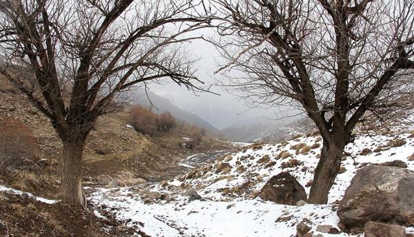 عکس از طبیعت زمستان