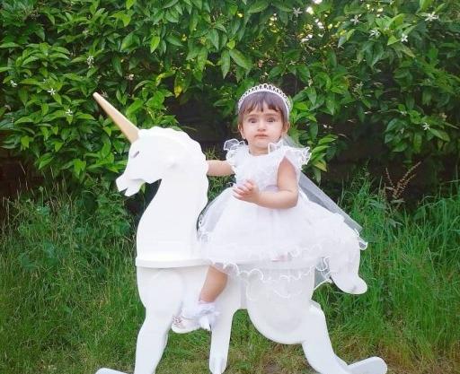 عکس اسب چوبی اسباب بازی