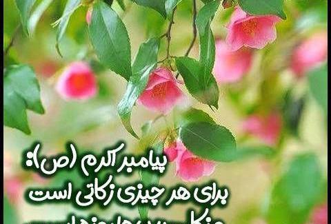 عکس حدیث رمضان