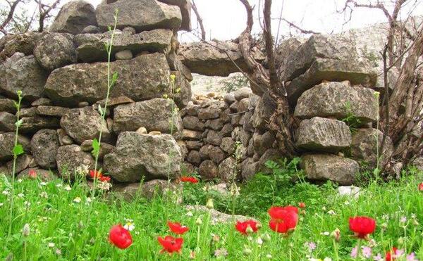 عکسهای طبیعت شیرین بهار
