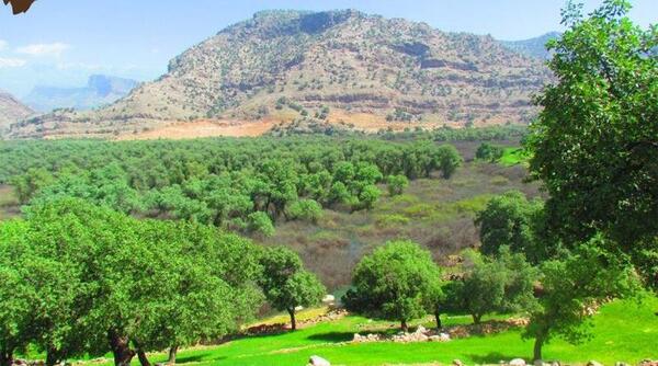 عکسهای طبیعت شیرین بهار
