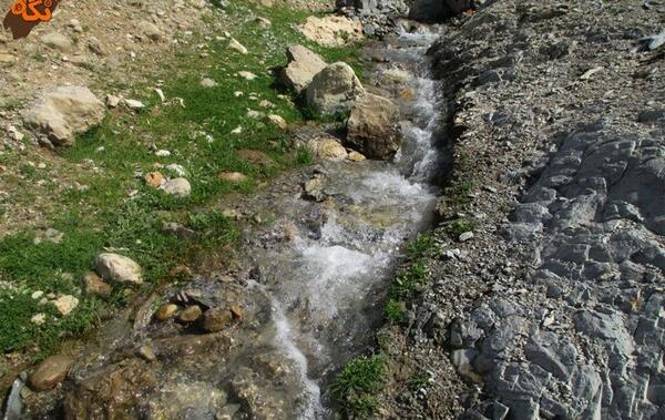 عکسهای طبیعت شیرین بهار