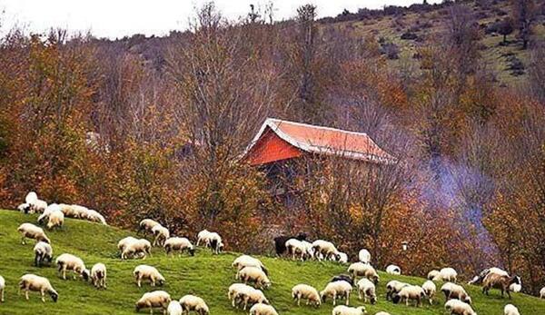 عکس طبیعت ماسال