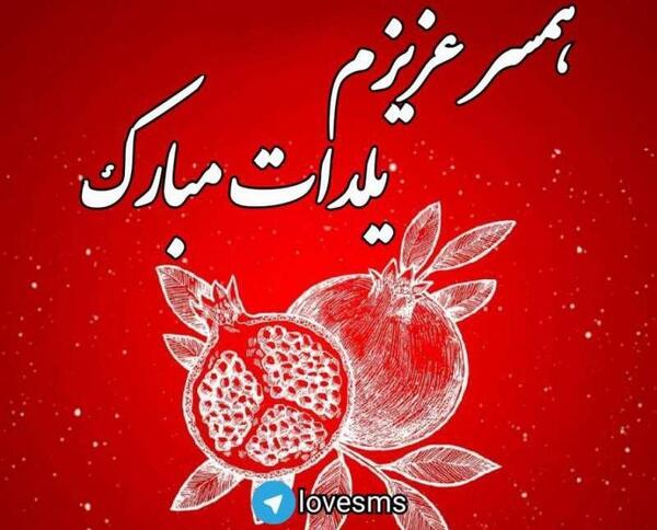 عکس یلدا عباسی و همسرش