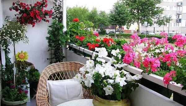 عکس ایده برای بالکن کوچک