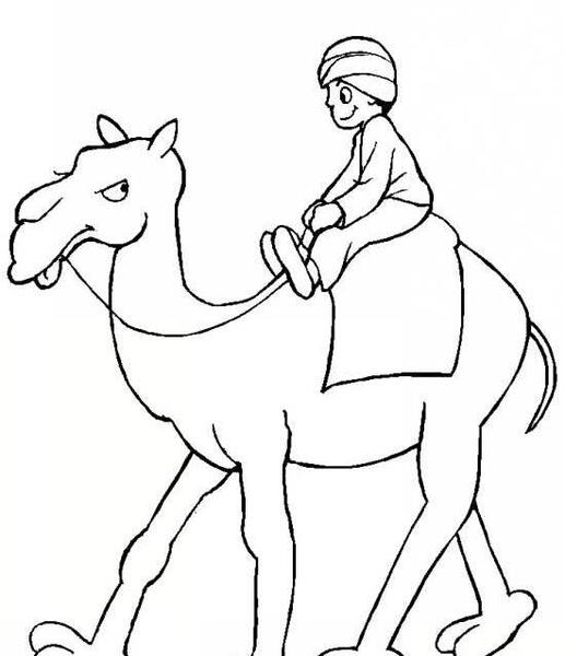 عکس شتر برای رنگ آمیزی