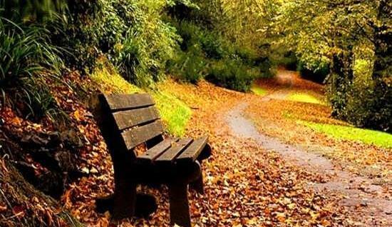 عکس طبیعت برای پروفایل پاییزی