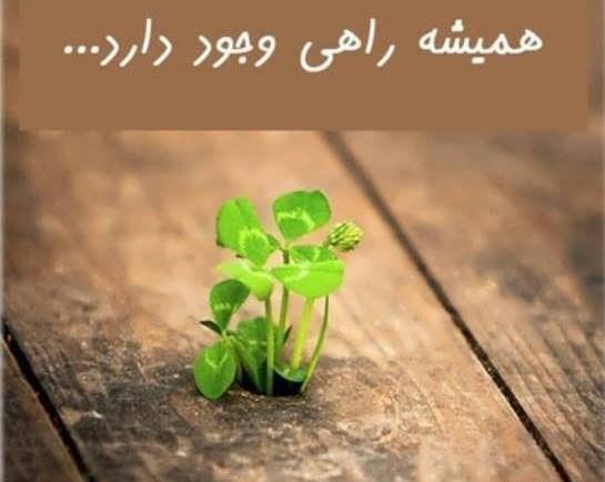 عکس نوشته تلاش بی ثمر