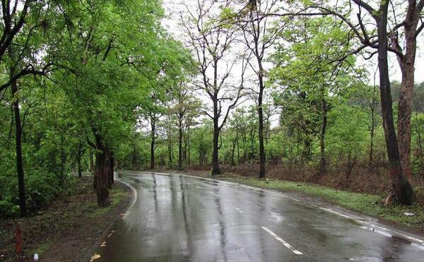 عکس باران و طبیعت
