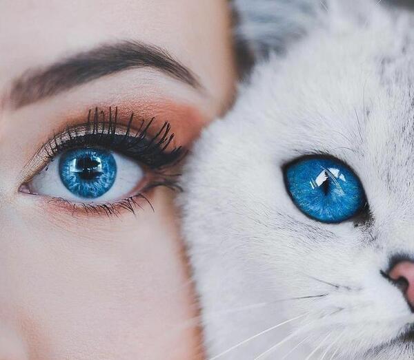 عکس پروف فیک صورت دخترانه