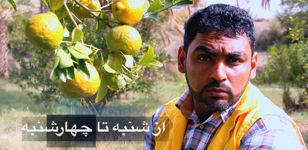 عکس ابراهیم پیل افکن