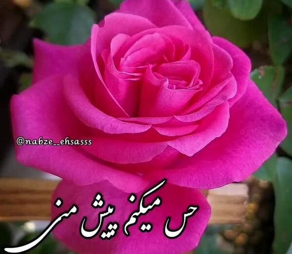 عکس زیبا و قشنگ برای وضعیت واتساپ
