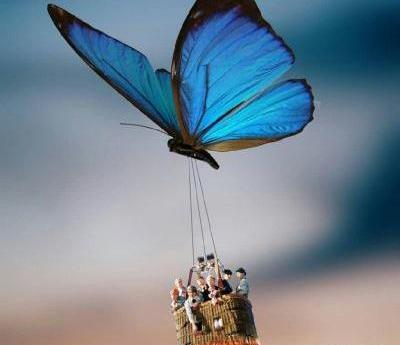 عکس پروانه واسه پروفایل