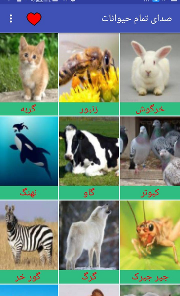 عکس حیوانات همه
