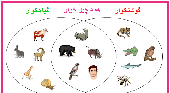 عکس حیوانات همه