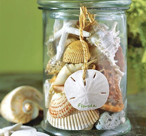 عکس صدف شیشه ای